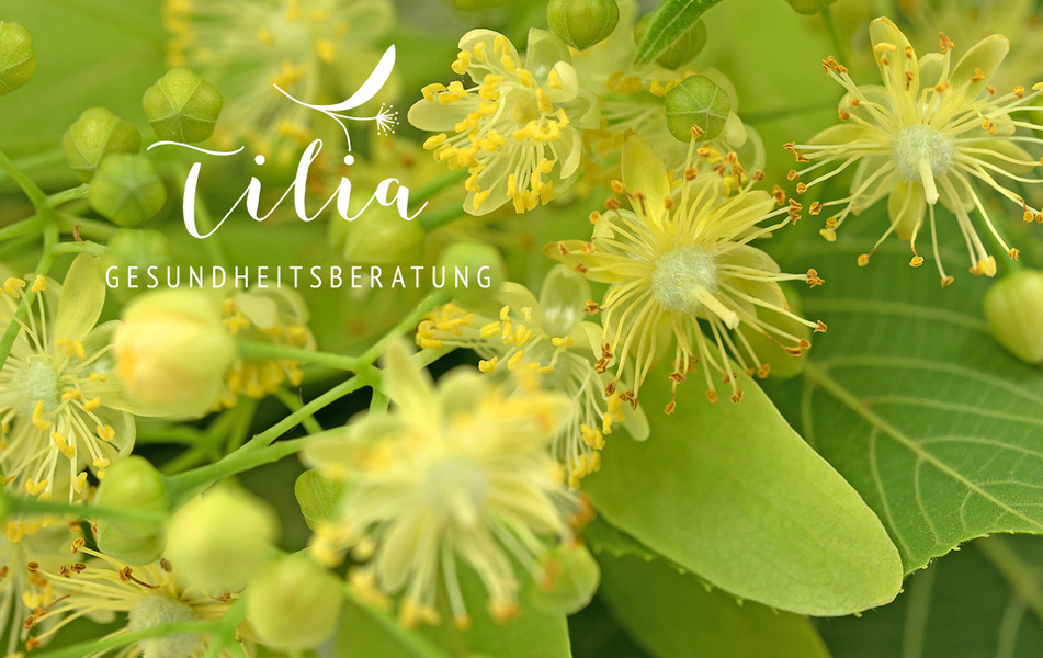 Titelfoto von Tilia Ernährungsberatung Erfurt, Jena & Weimar
